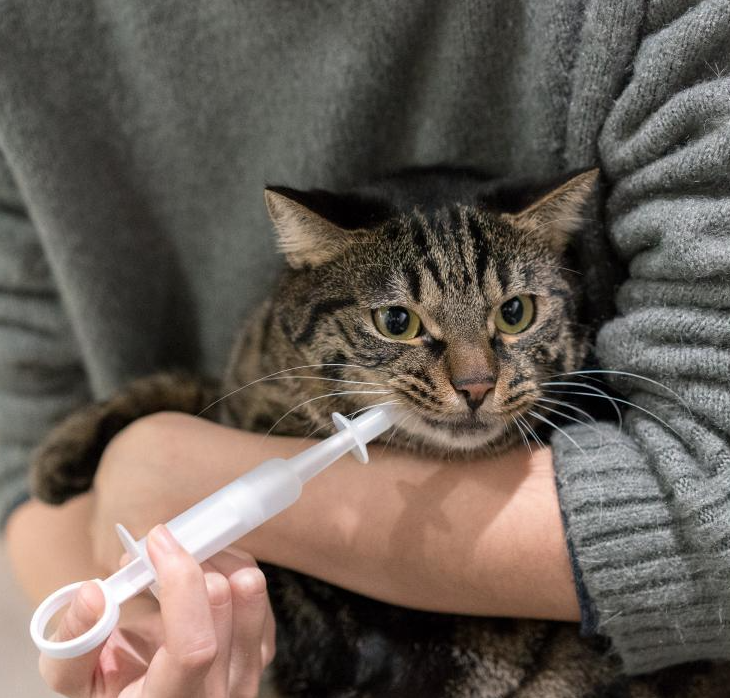 Pidan Pet Oral Syringe