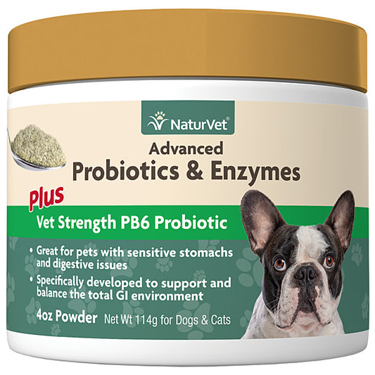 Advanced Probiotics & Enzymes Powder 4OZ