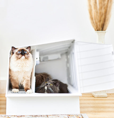 PETKIT Pura Villa Cat Litter Box