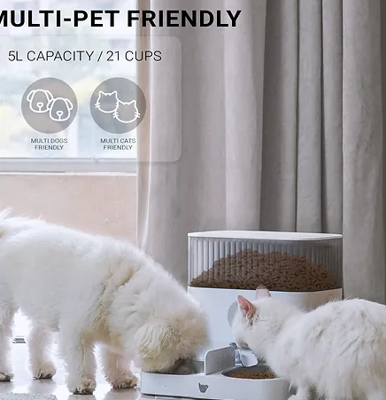 INSTACHEW Purechew Double Automatic Pet Feeder