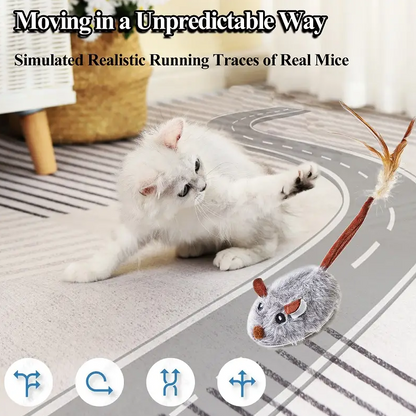 Automatic Mouse Chasing Toy