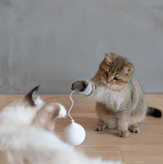 Pidan "Balloon" Electronic Cat Teasing Toy