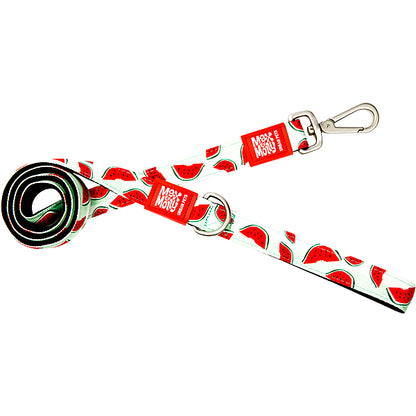 Original Leash Watermelon 4'x 1" Large