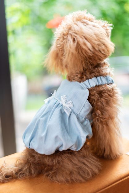 Petifam Pet Dress