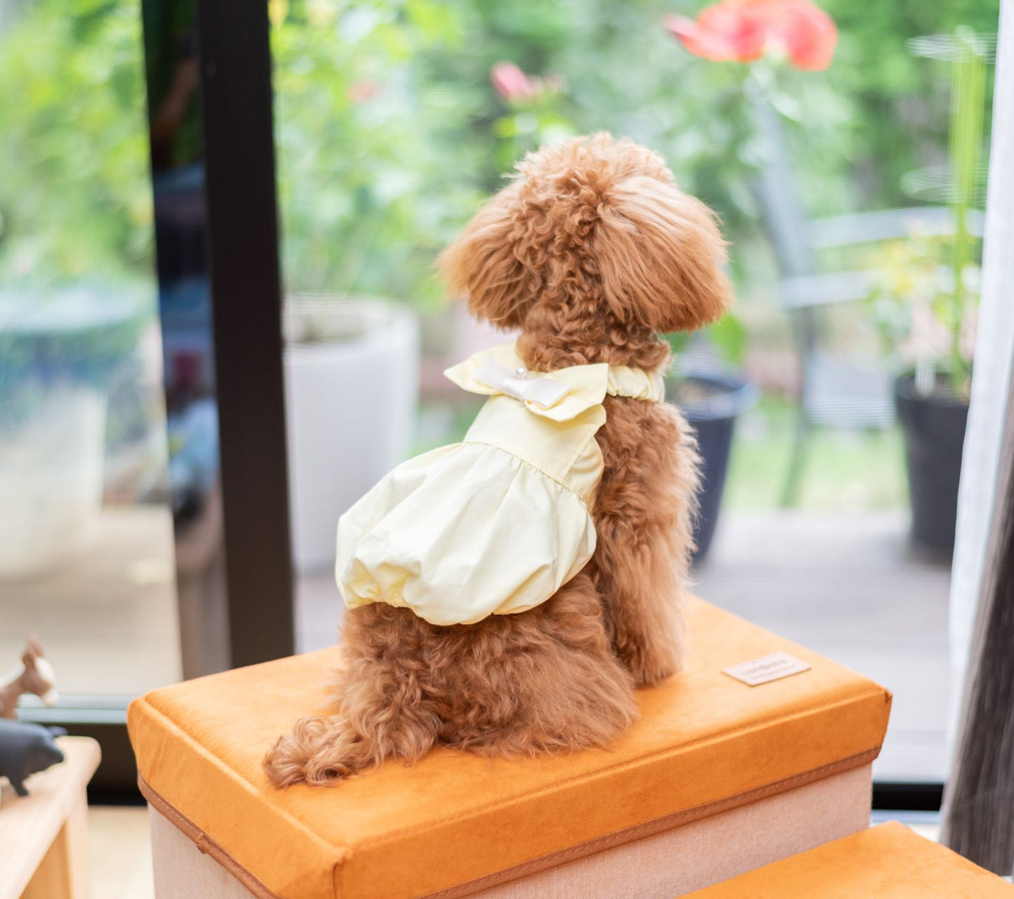 Petifam Pet Bowknot Dress