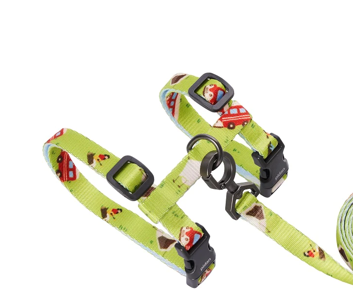 Pidan Harness and Leash Set