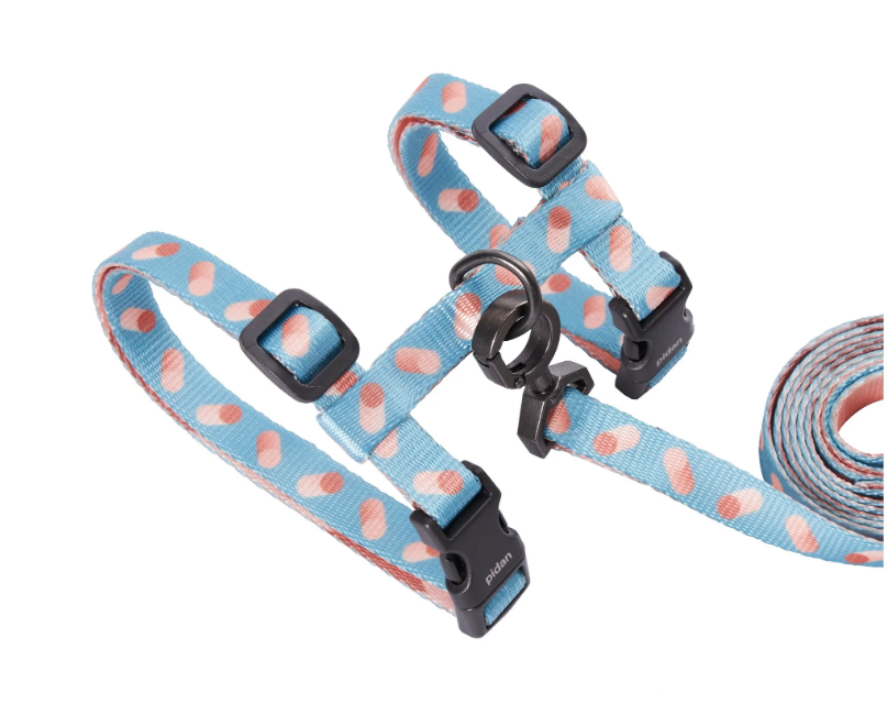 Pidan Harness and Leash Set