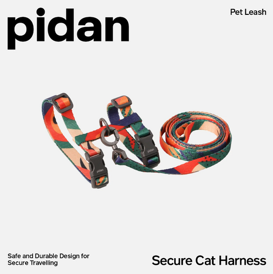 Pidan Harness and Leash Set