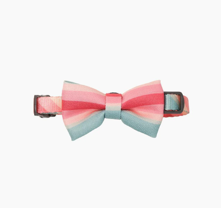 Pidan Cat Bow Tie Collar