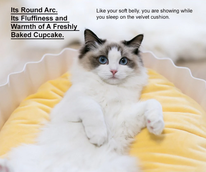 Pidan "Cupcake" Pet Bed