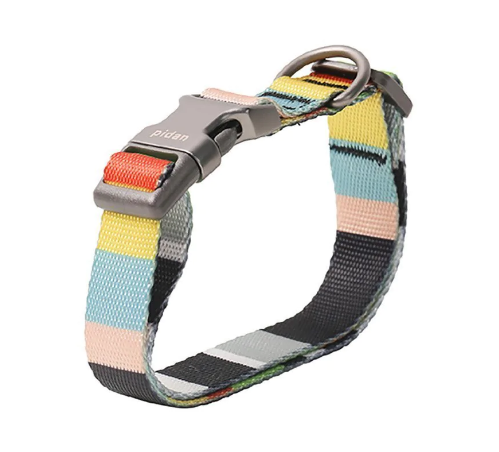 Pidan Dog Collar with Metal Buckle