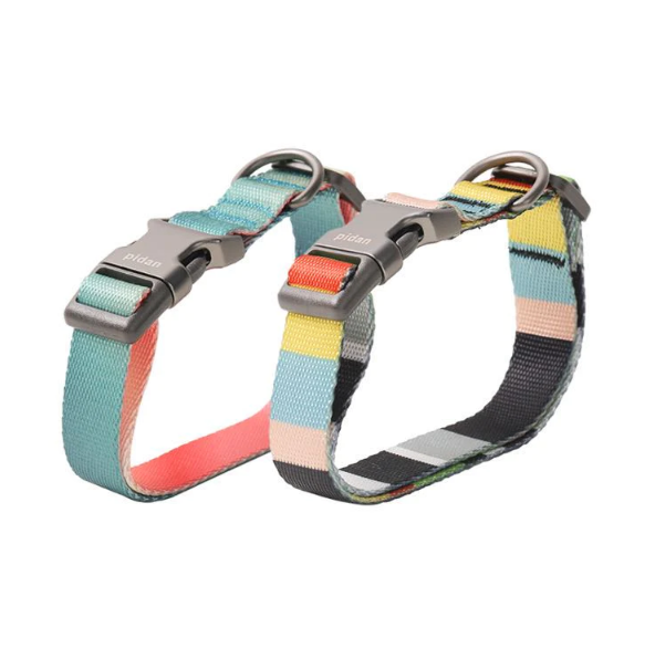 Pidan Dog Collar with Metal Buckle