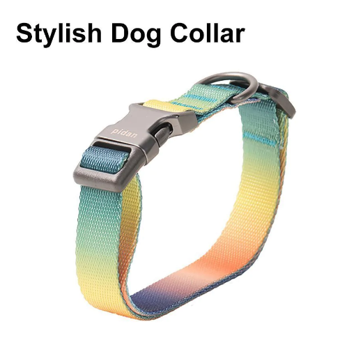 Pidan Dog Collar with Metal Buckle