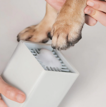 Pidan Pet Paw Cleaning Cube