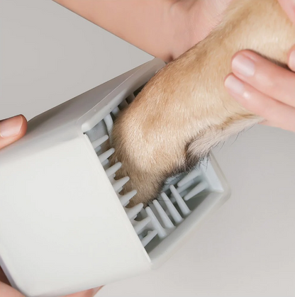 Pidan Pet Paw Cleaning Cube