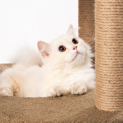 Pidan Cat Tree, Cloth Castle Type