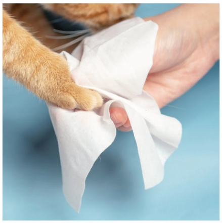 Pidan Pet Wet Wipes