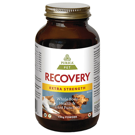 Recovery Extra Strength Powder 150GM